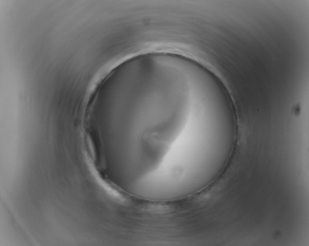 X0000110971525200907022232