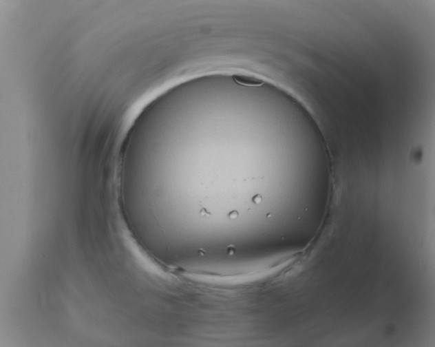 X0000110971526200907022232