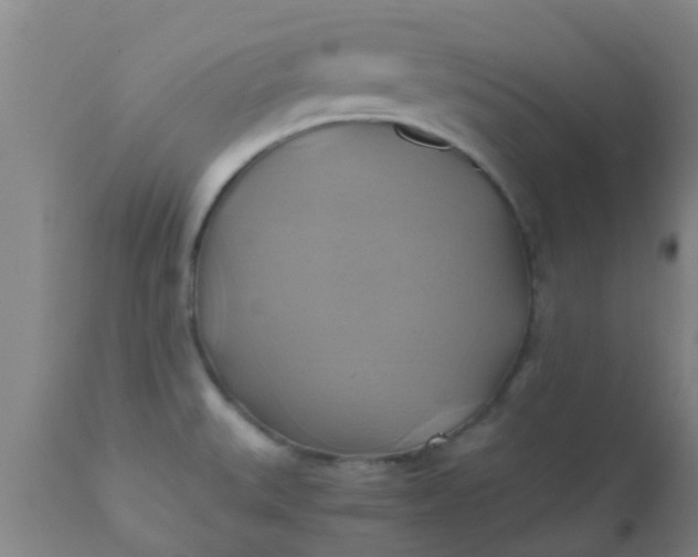 X0000110971527200907022232