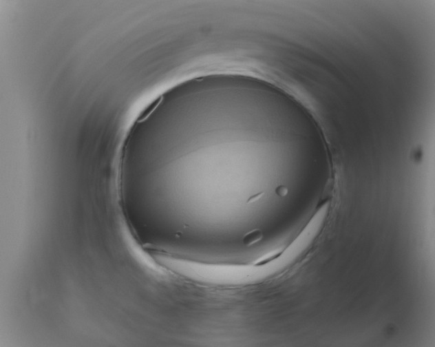 X0000110971528200907022232