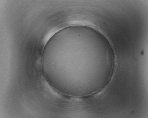 X0000110971529200907022232