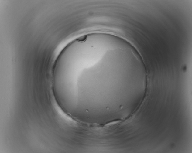 X0000110971531200907022233