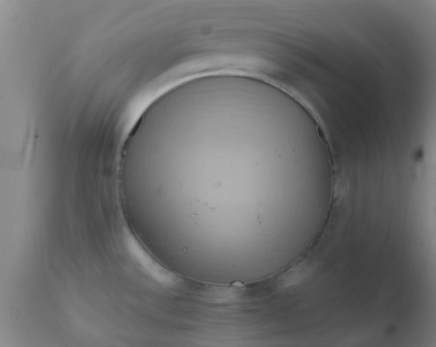 X0000110971532200907022233