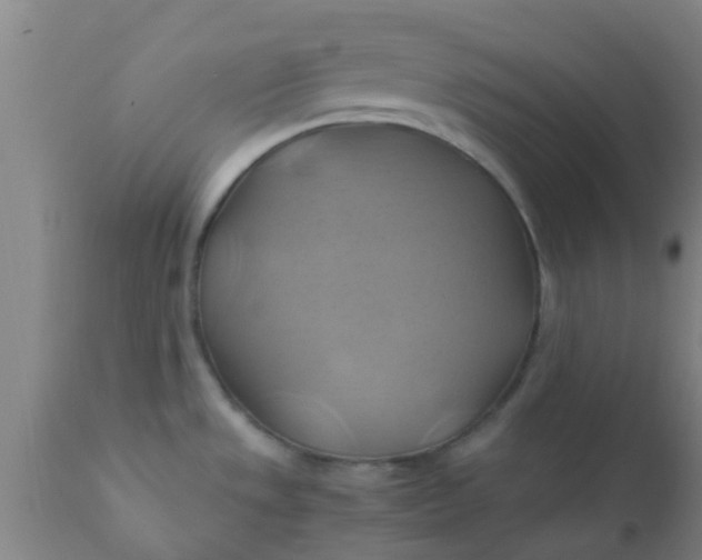 X0000110971533200907022233