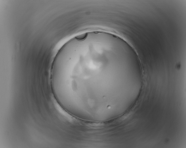 X0000110971535200907022233