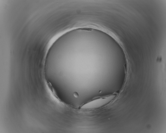 X0000110971536200907022233