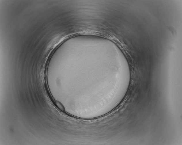 X0000110970002200907101358