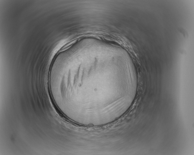 X0000110970003200907101358