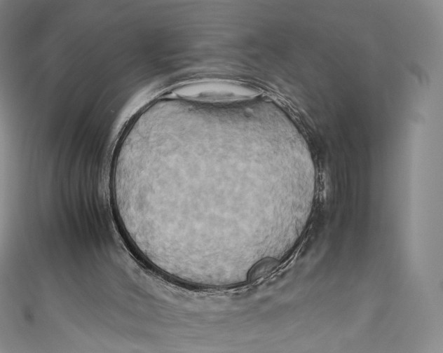 X0000110970004200907101358