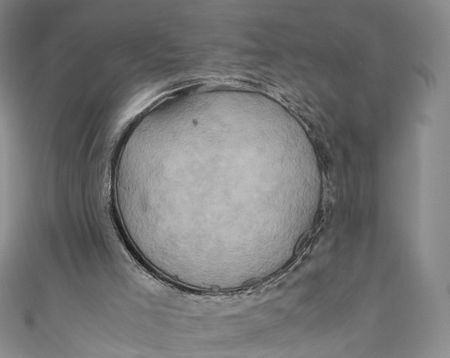 X0000110970005200907101358