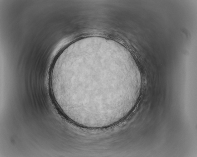 X0000110970006200907101358