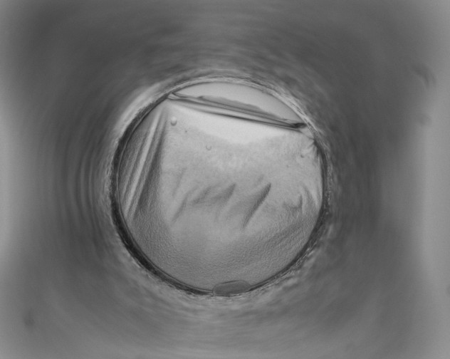 X0000110970007200907101358