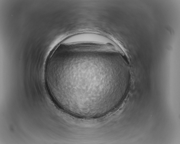 X0000110970008200907101358