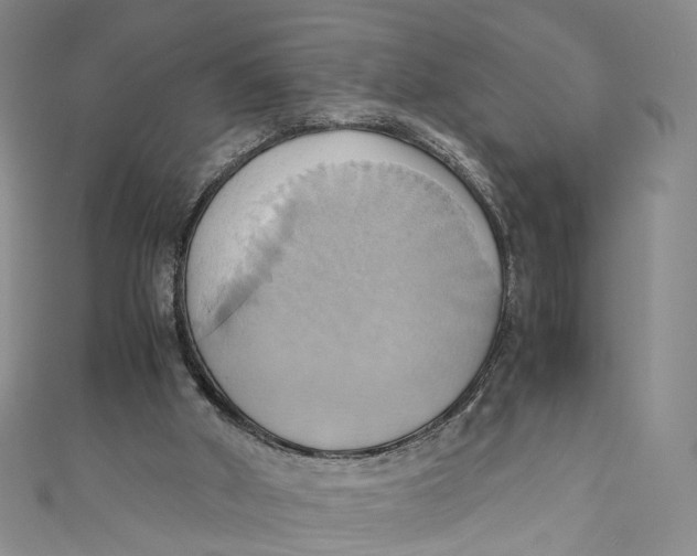X0000110970010200907101358