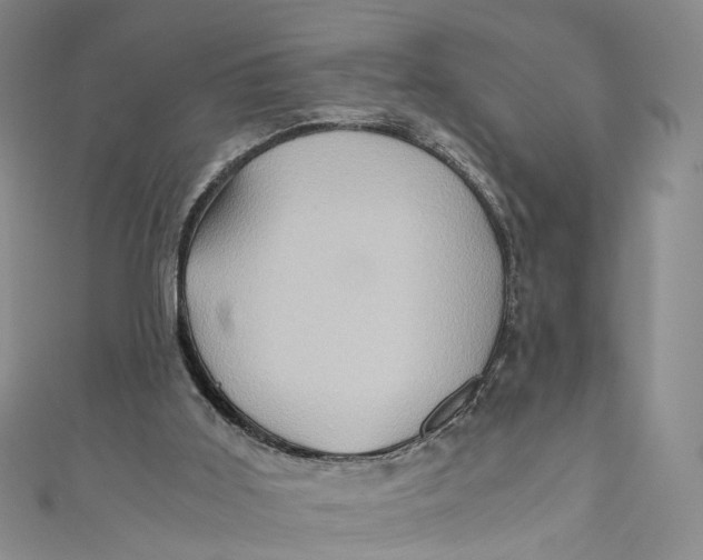 X0000110970011200907101358