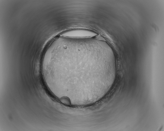 X0000110970012200907101358