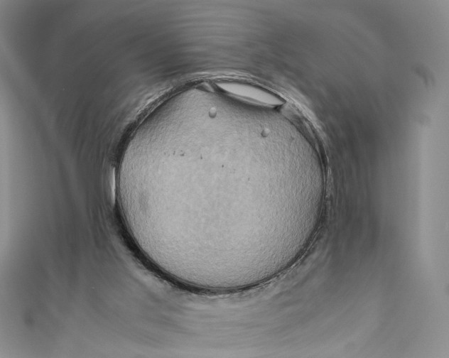 X0000110970013200907101358