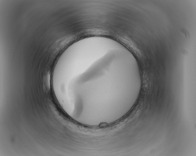 X0000110970014200907101358