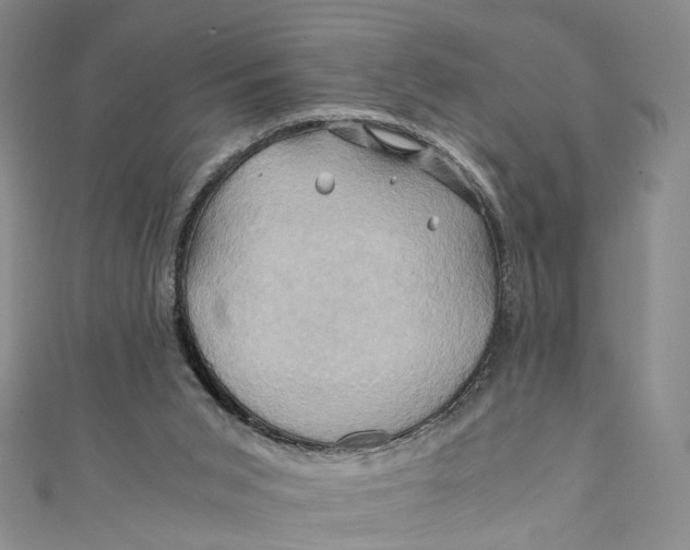 X0000110970015200907101358