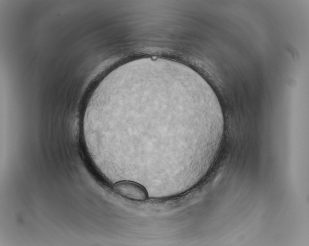 X0000110970016200907101358