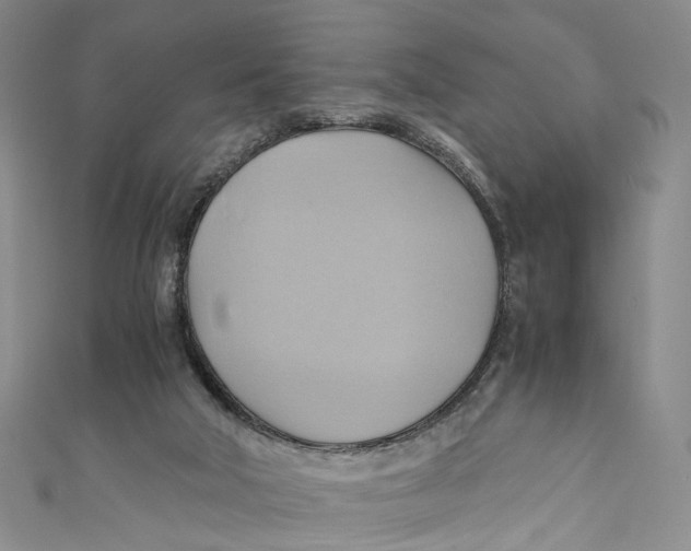 X0000110970018200907101358