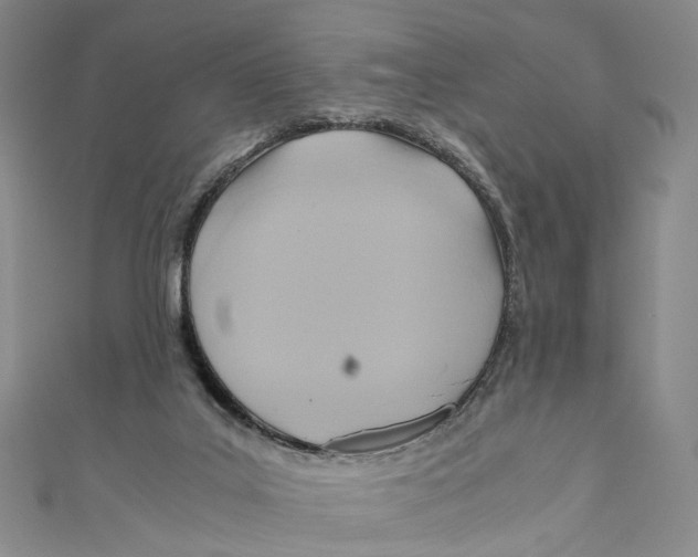 X0000110970019200907101358