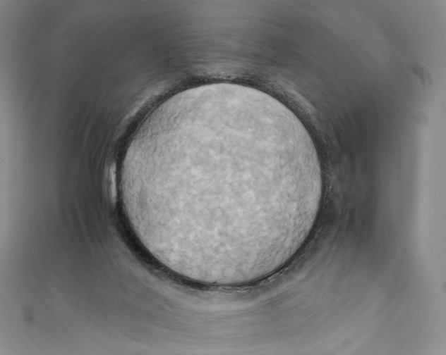 X0000110970020200907101358