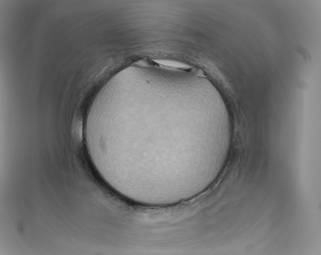 X0000110970021200907101358