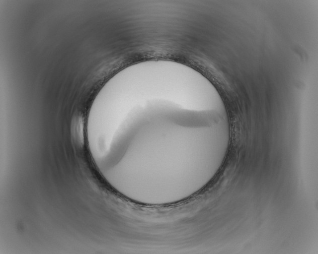 X0000110970022200907101358