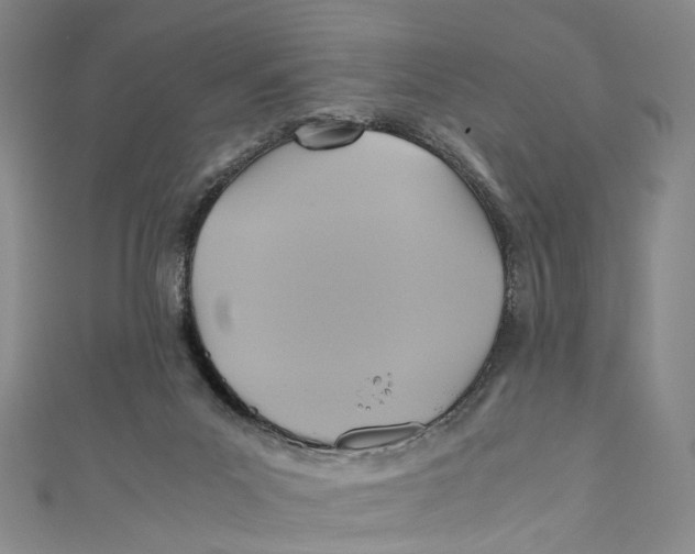 X0000110970023200907101358
