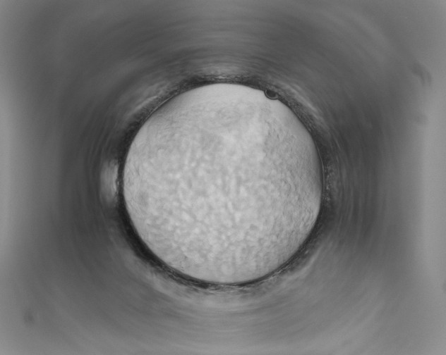 X0000110970024200907101358