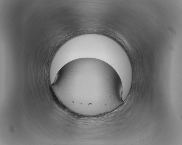 X0000110970025200907101358