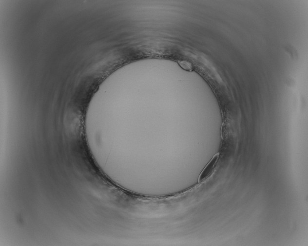 X0000110970029200907101358