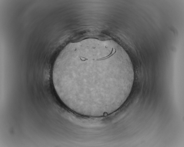 X0000110970032200907101358