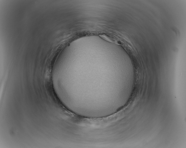 X0000110970033200907101358
