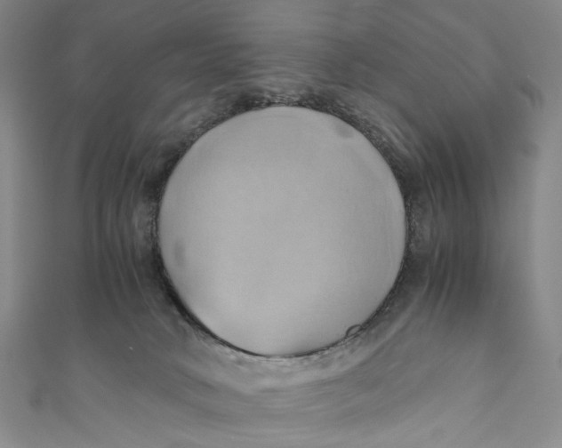 X0000110970034200907101358