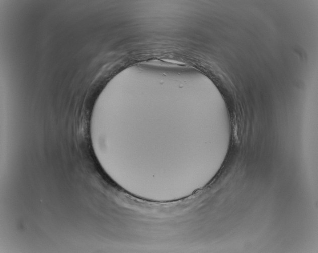 X0000110970035200907101357
