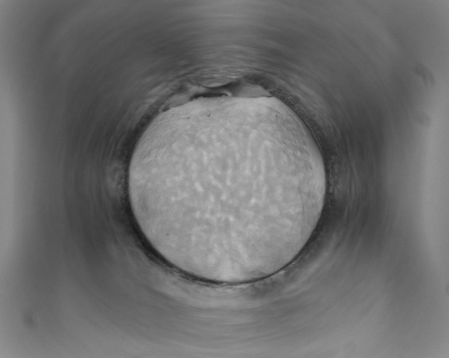 X0000110970036200907101357
