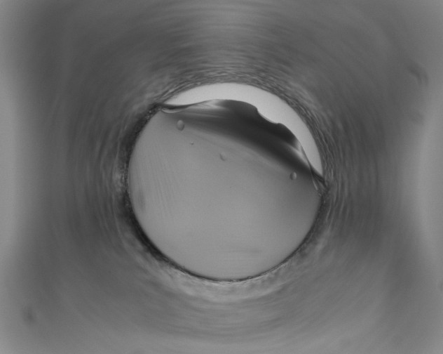 X0000110970039200907101357
