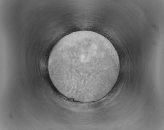 X0000110970040200907101357