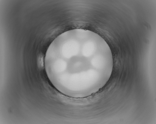 X0000110970042200907101357