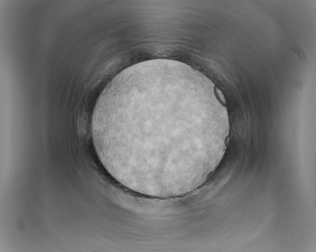 X0000110970044200907101357