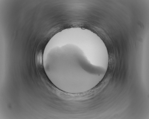 X0000110970046200907101357
