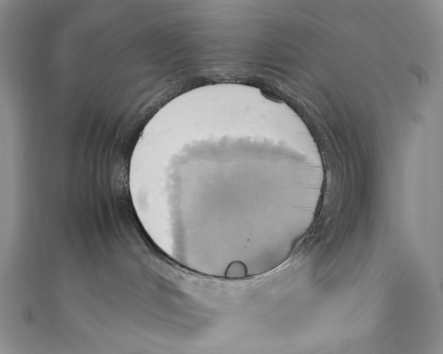 X0000110970048200907101357