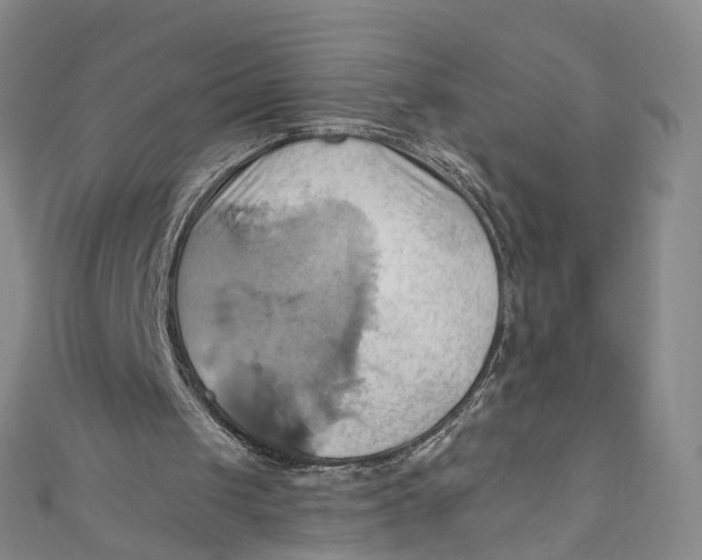 X0000110970049200907101357