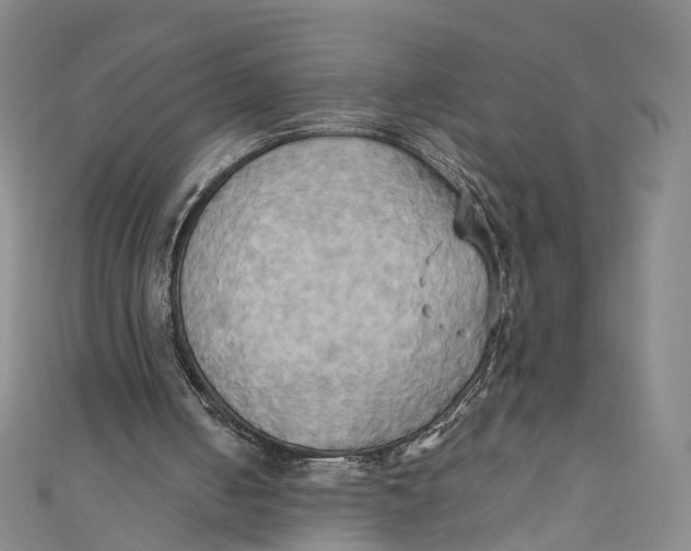 X0000110970050200907101357