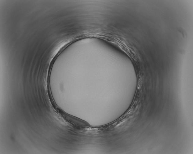 X0000110970052200907101357