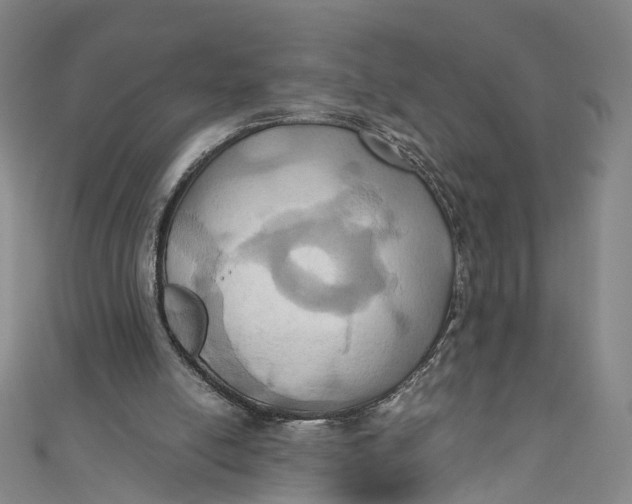 X0000110970054200907101357
