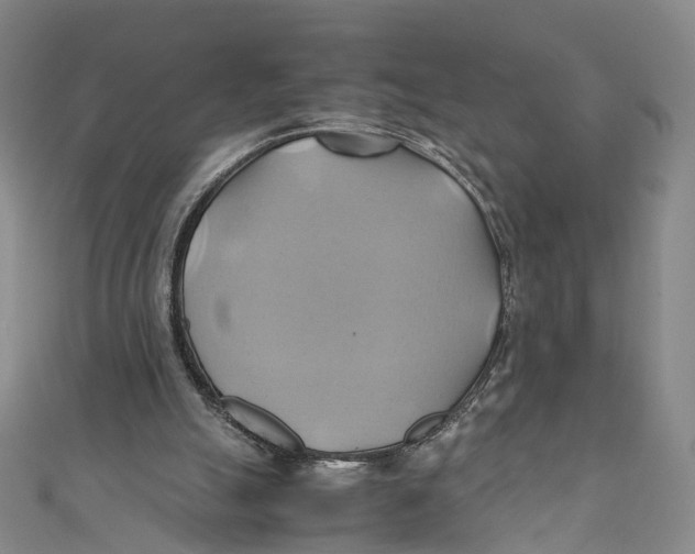 X0000110970055200907101357