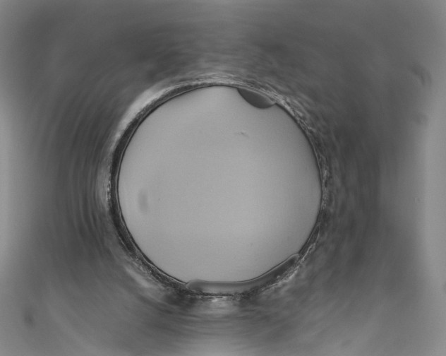 X0000110970056200907101357